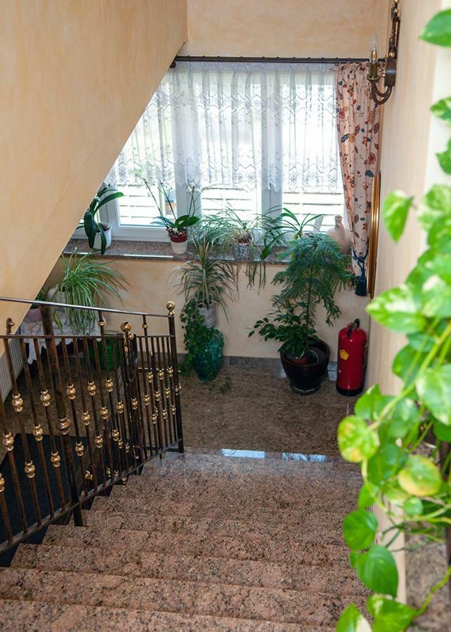 Pension Hiesel-Villa Untersbergblick Anthering Exteriér fotografie